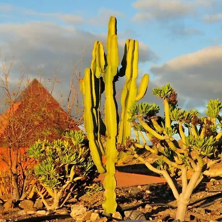 Romantica Fuego - Eco Retreat Artis Tirma *