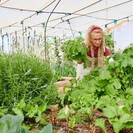 Romantica Fuego - Eco Retreat Artis Tirma Tarajalejo