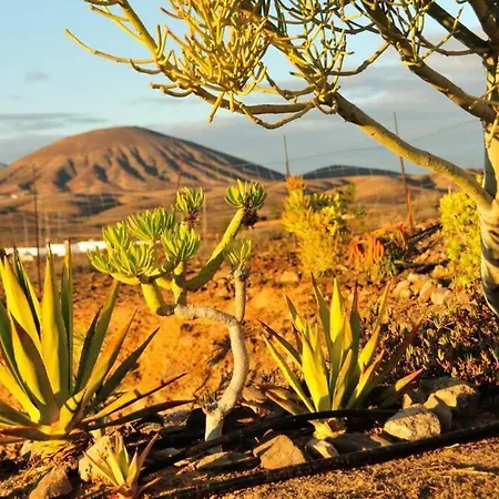 Romantica Fuego - Eco Retreat Artis Tirma