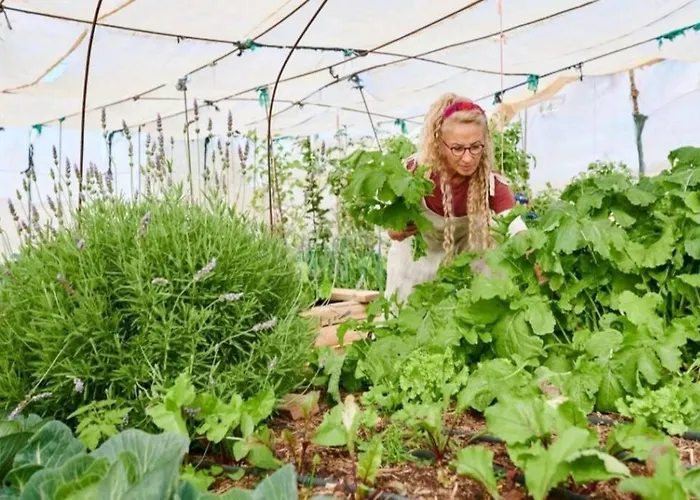 Romantica Fuego - Eco Retreat Artis Tirma 타라할레호