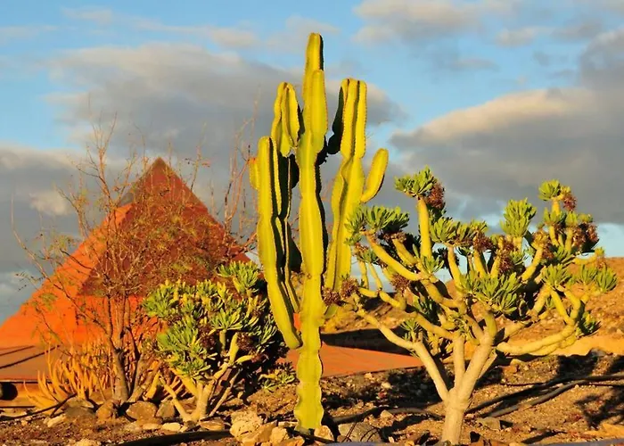 Romantica Fuego - Eco Retreat Artis Tirma *