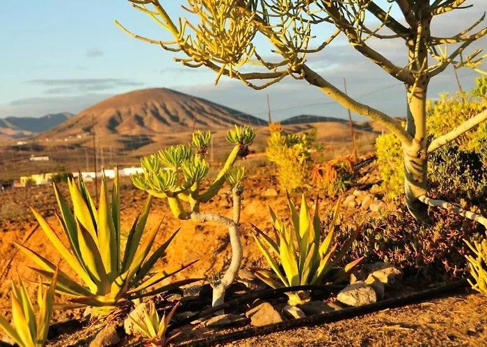 Romantica Fuego - Eco Retreat Artis Tirma